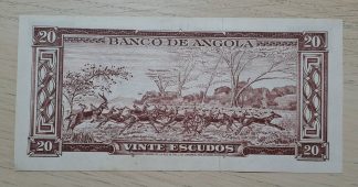 Angola 20 escudos 1956 Bela / Quase Nova